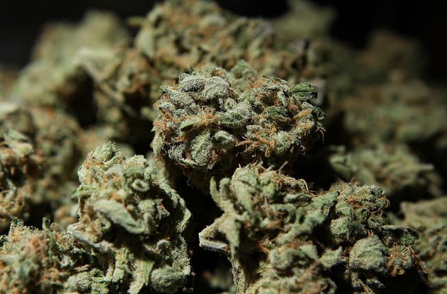 Marijuana possession fines could drop in Champaign